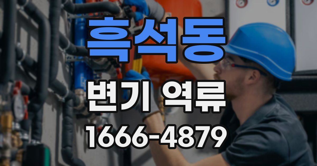 흑석동 변기 역류