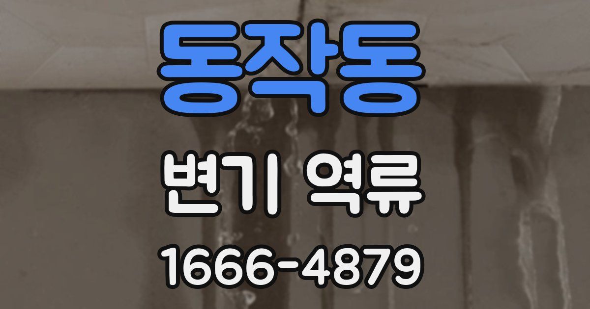 동작동 변기 역류