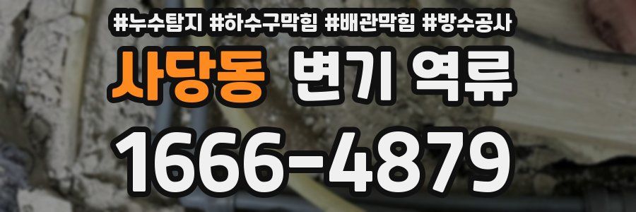 사당동 변기 역류