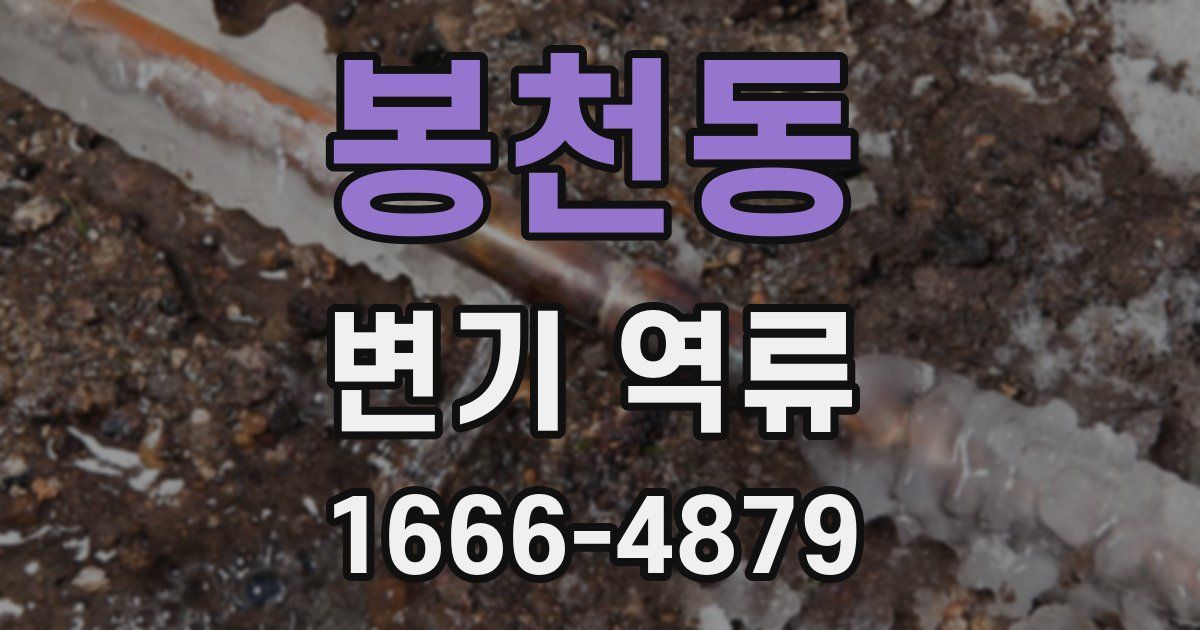 봉천동 변기 역류