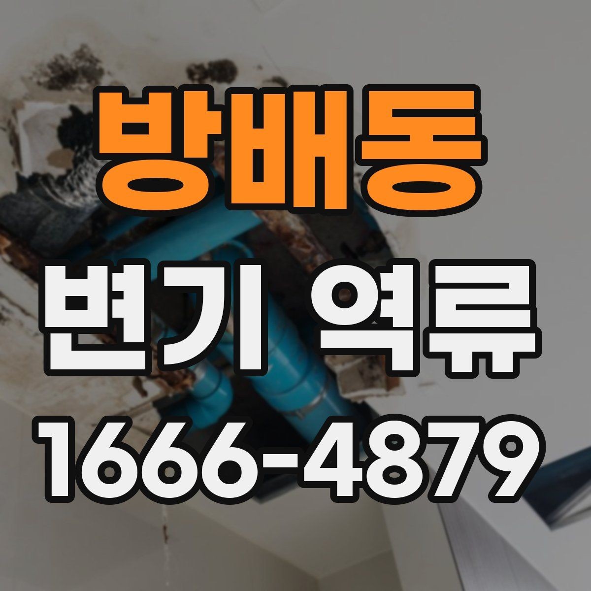 방배동 변기 역류 오염수 유입을 의심해야 하는 상황