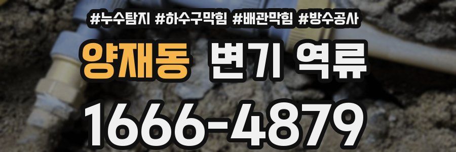 양재동 변기 역류