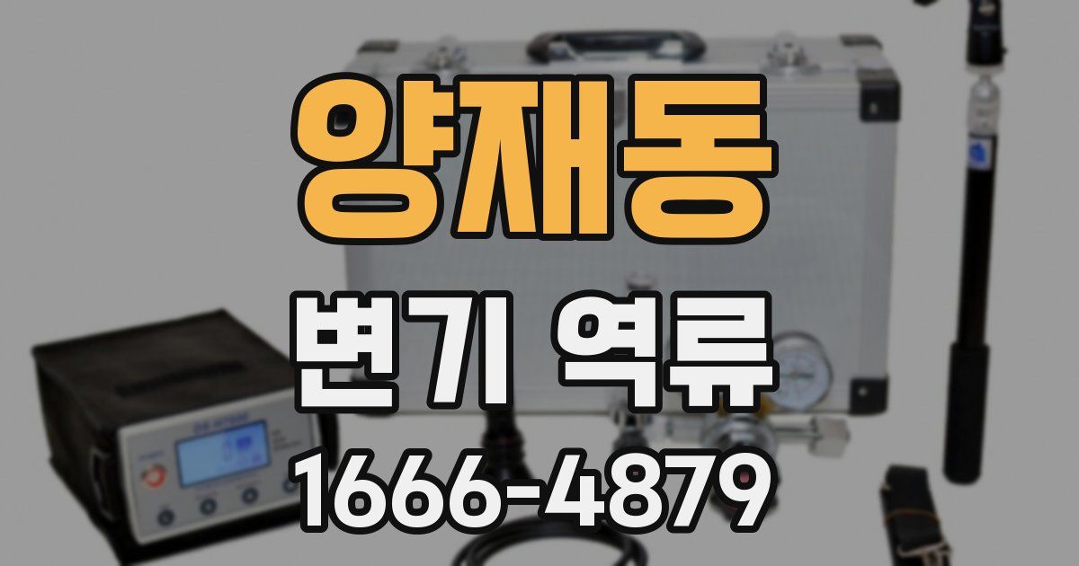 양재동 변기 역류