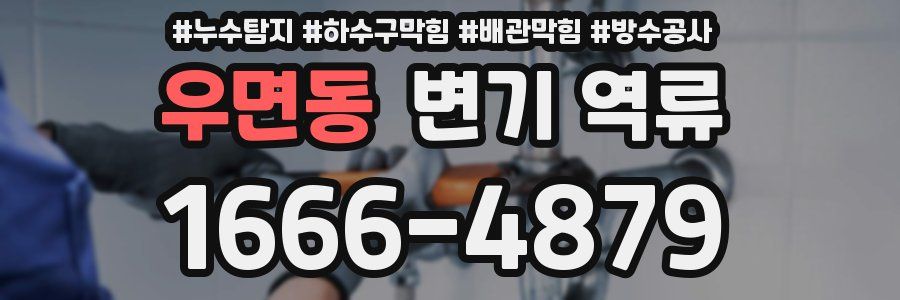 우면동 변기 역류