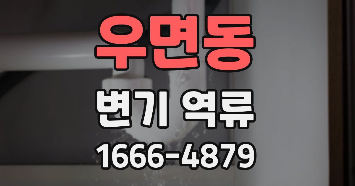 우면동 변기 역류
