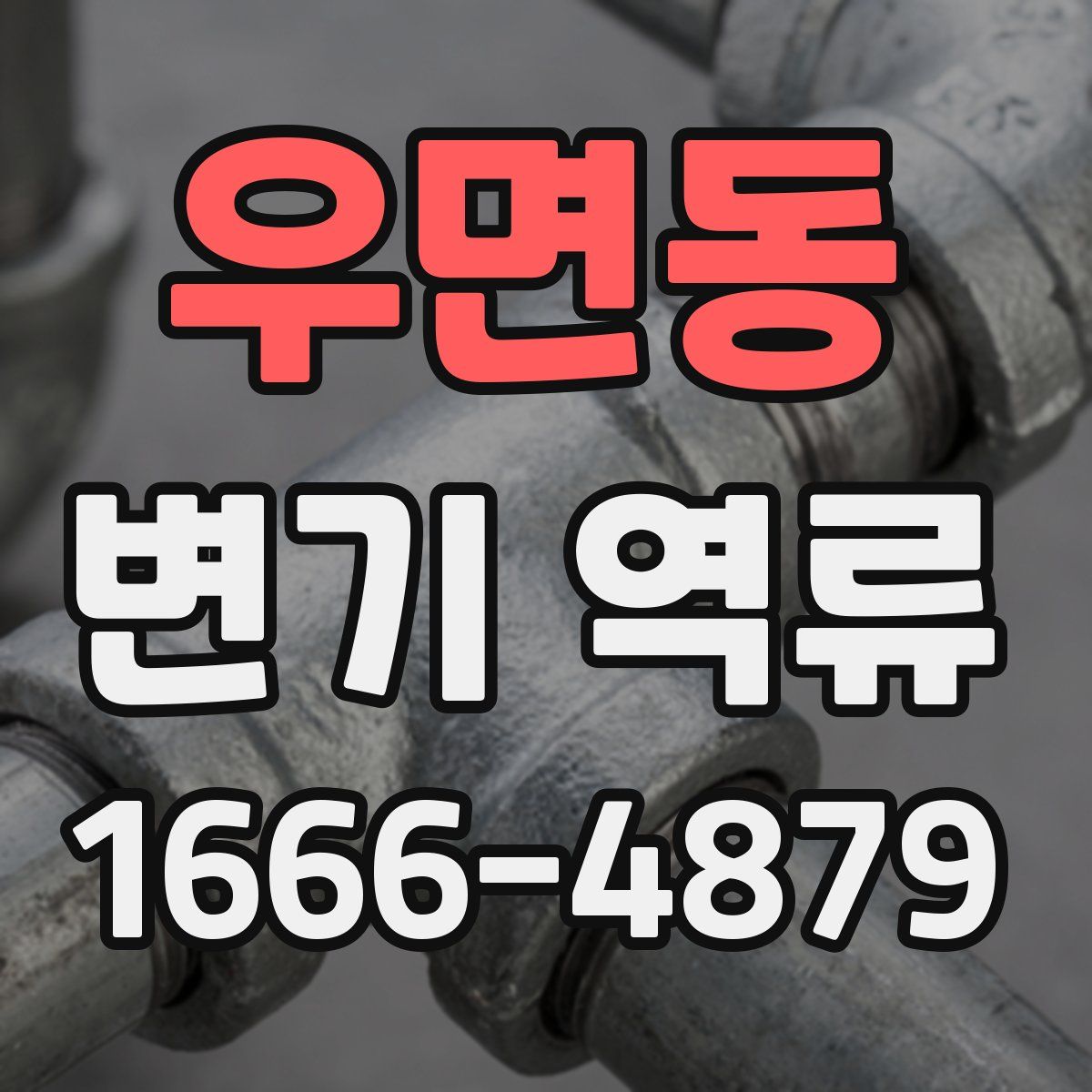 우면동 변기 역류