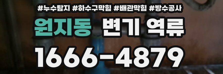 원지동 변기 역류
