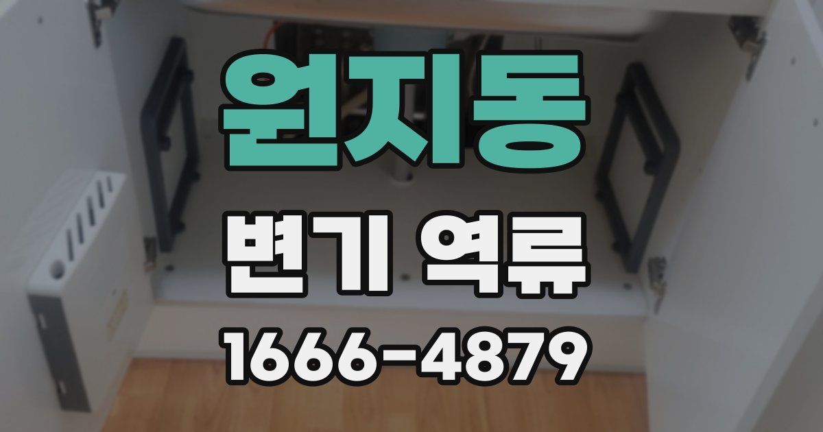 원지동 변기 역류