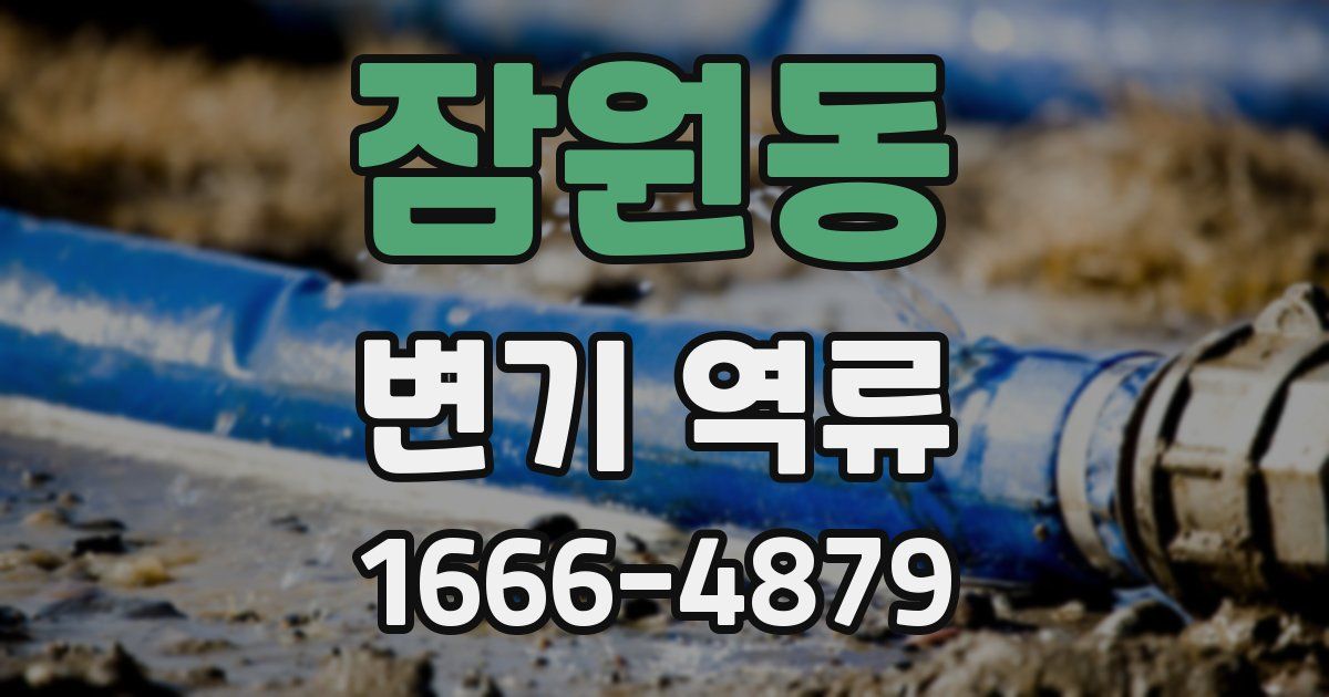 잠원동 변기 역류