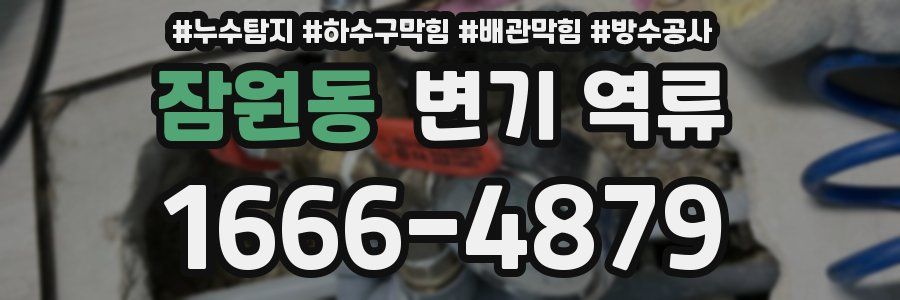 잠원동 변기 역류