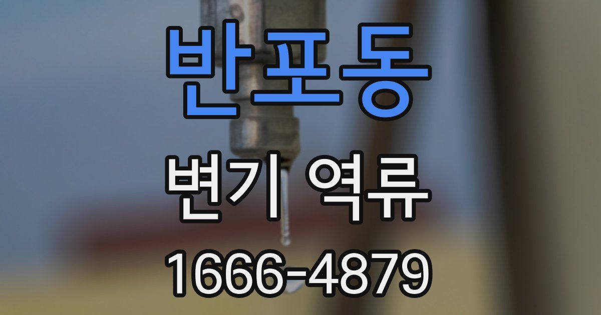 반포동 변기 역류
