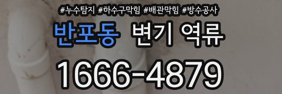 반포동 변기 역류