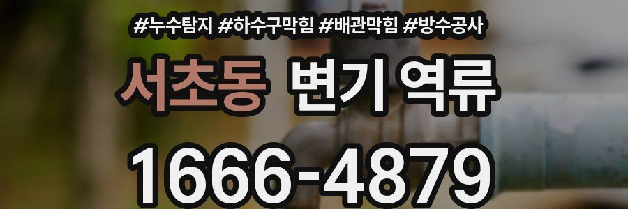 서초동 변기 역류