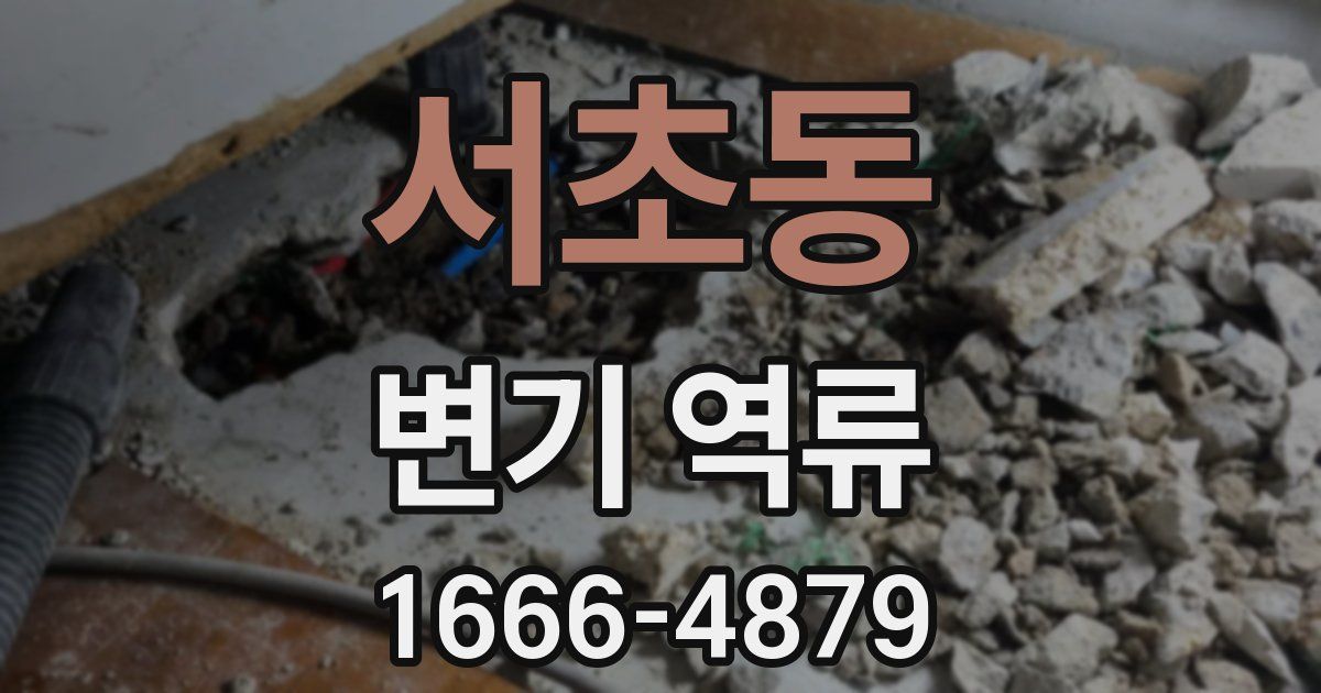 서초동 변기 역류