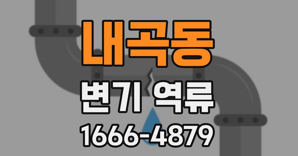 내곡동 변기 역류