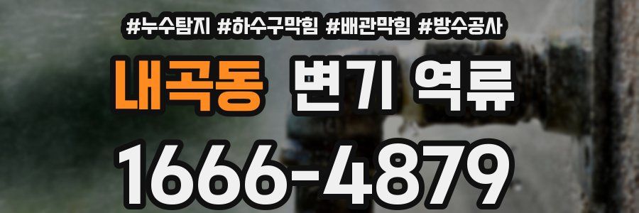 내곡동 변기 역류