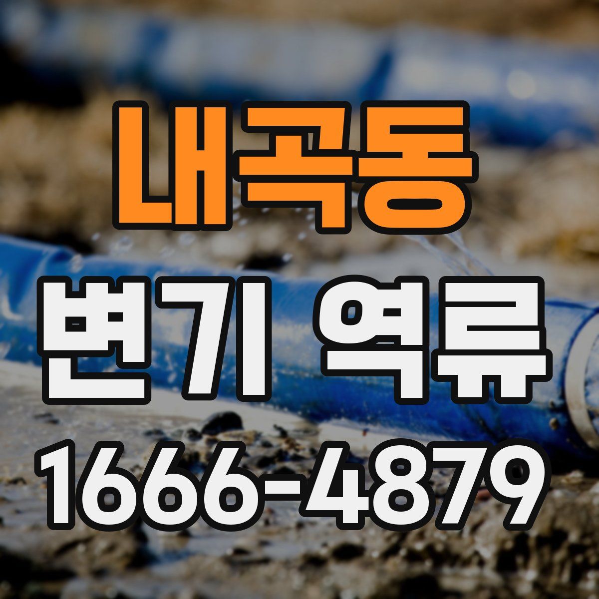 내곡동 변기 역류