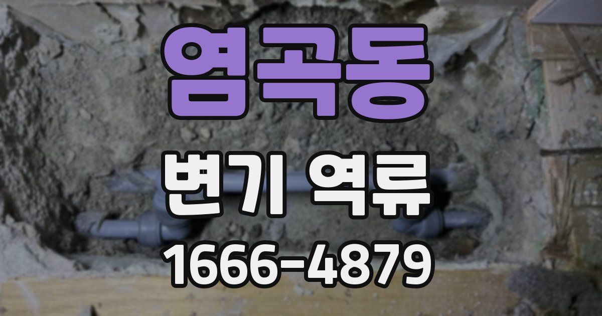 염곡동 변기 역류