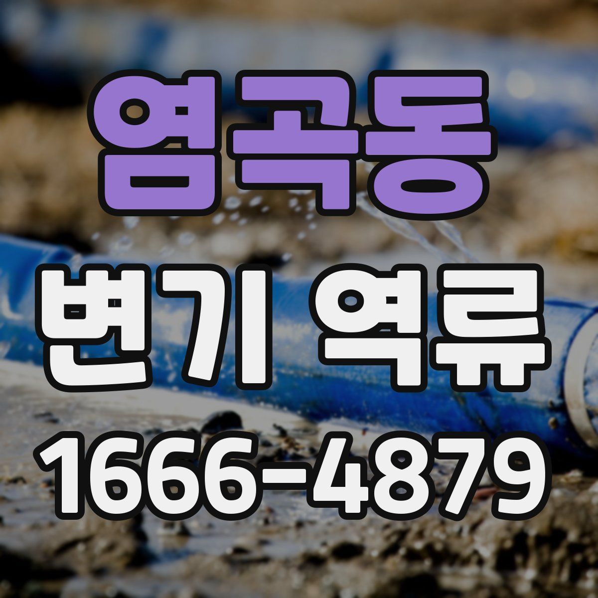 염곡동 변기 역류