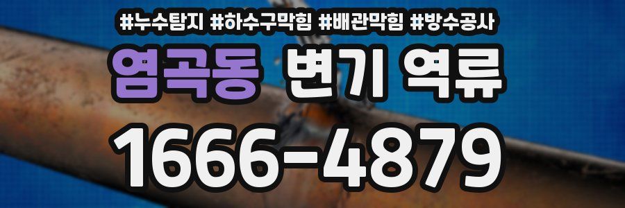 염곡동 변기 역류