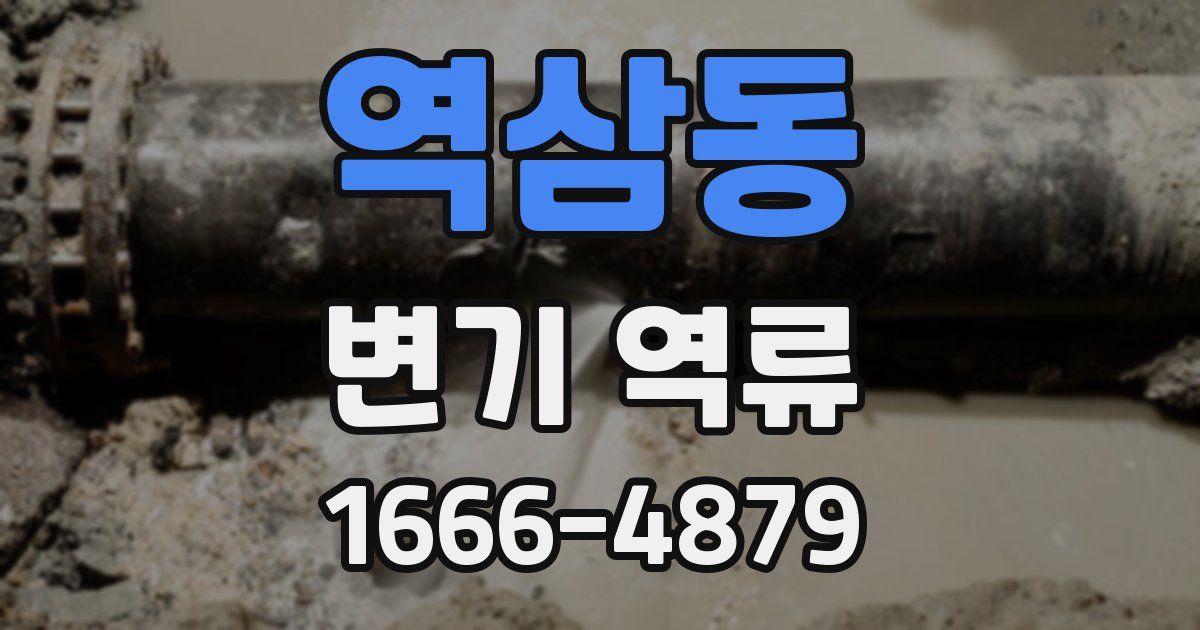 역삼동 변기 역류