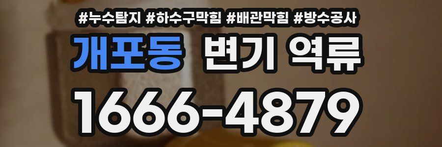 개포동 변기 역류