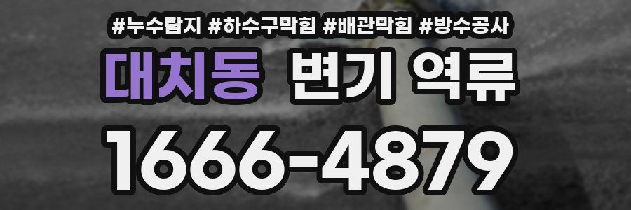대치동 변기 역류