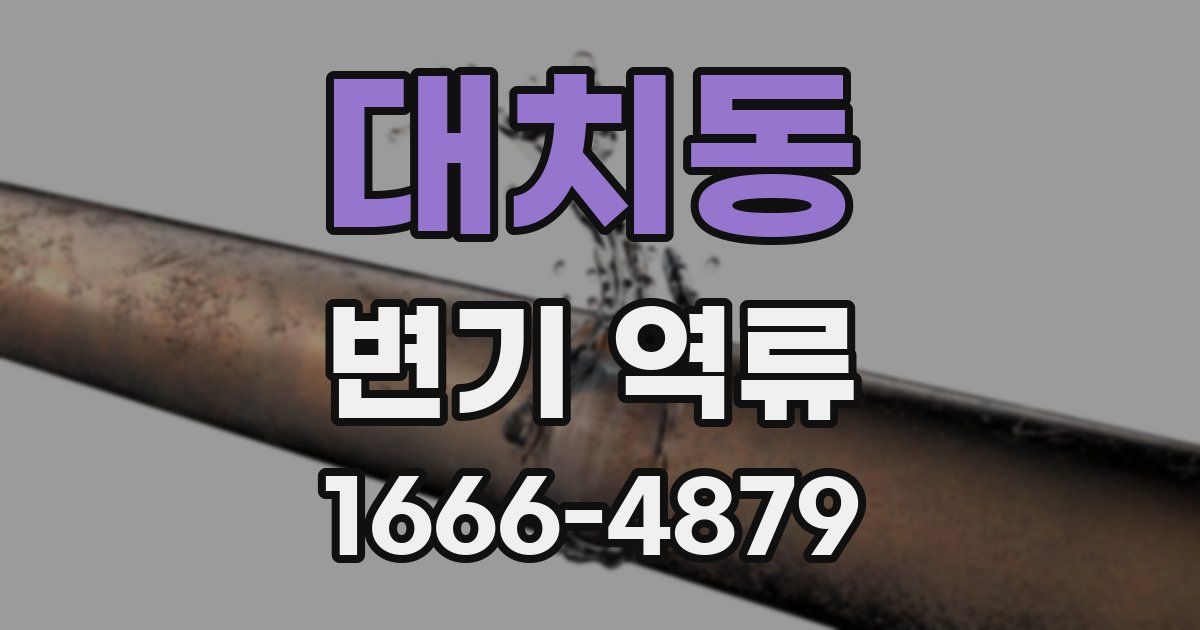 대치동 변기 역류