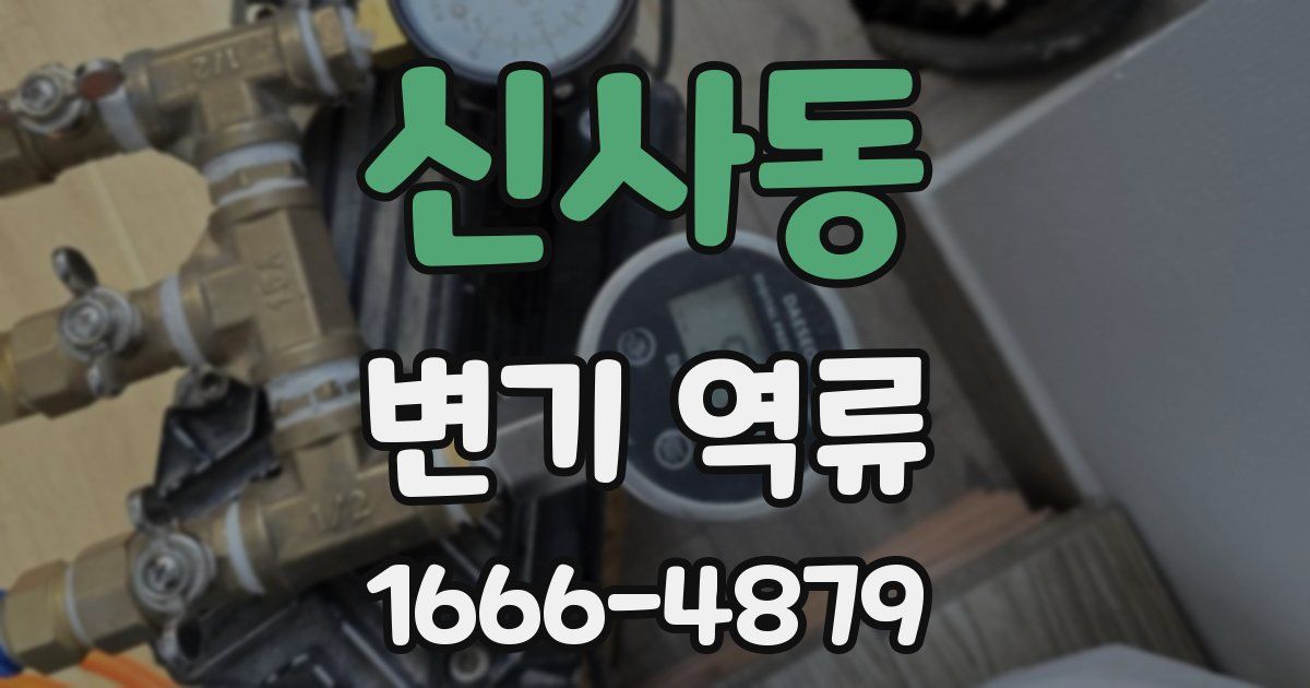 신사동 변기 역류