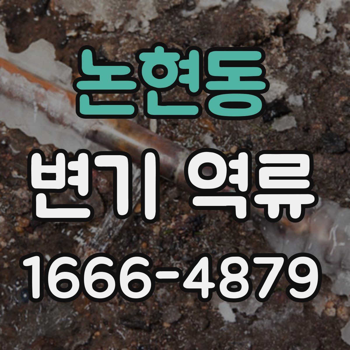 논현동 변기 역류