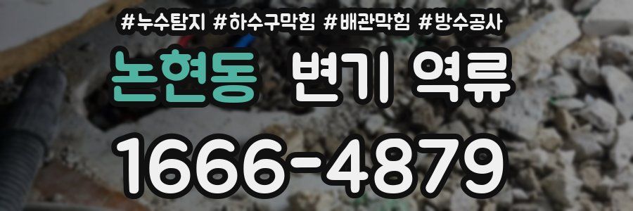 논현동 변기 역류
