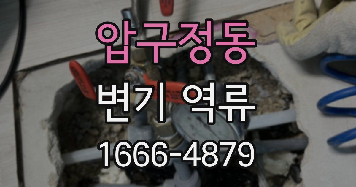 압구정동 변기 역류