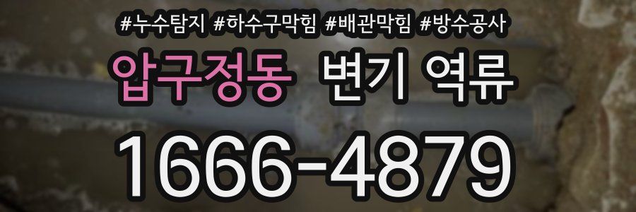 압구정동 변기 역류