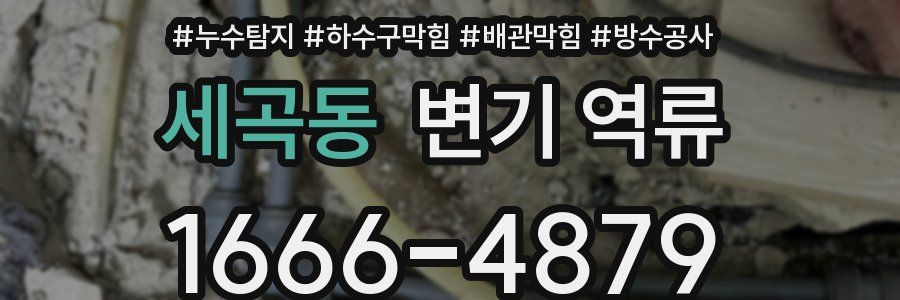 세곡동 변기 역류