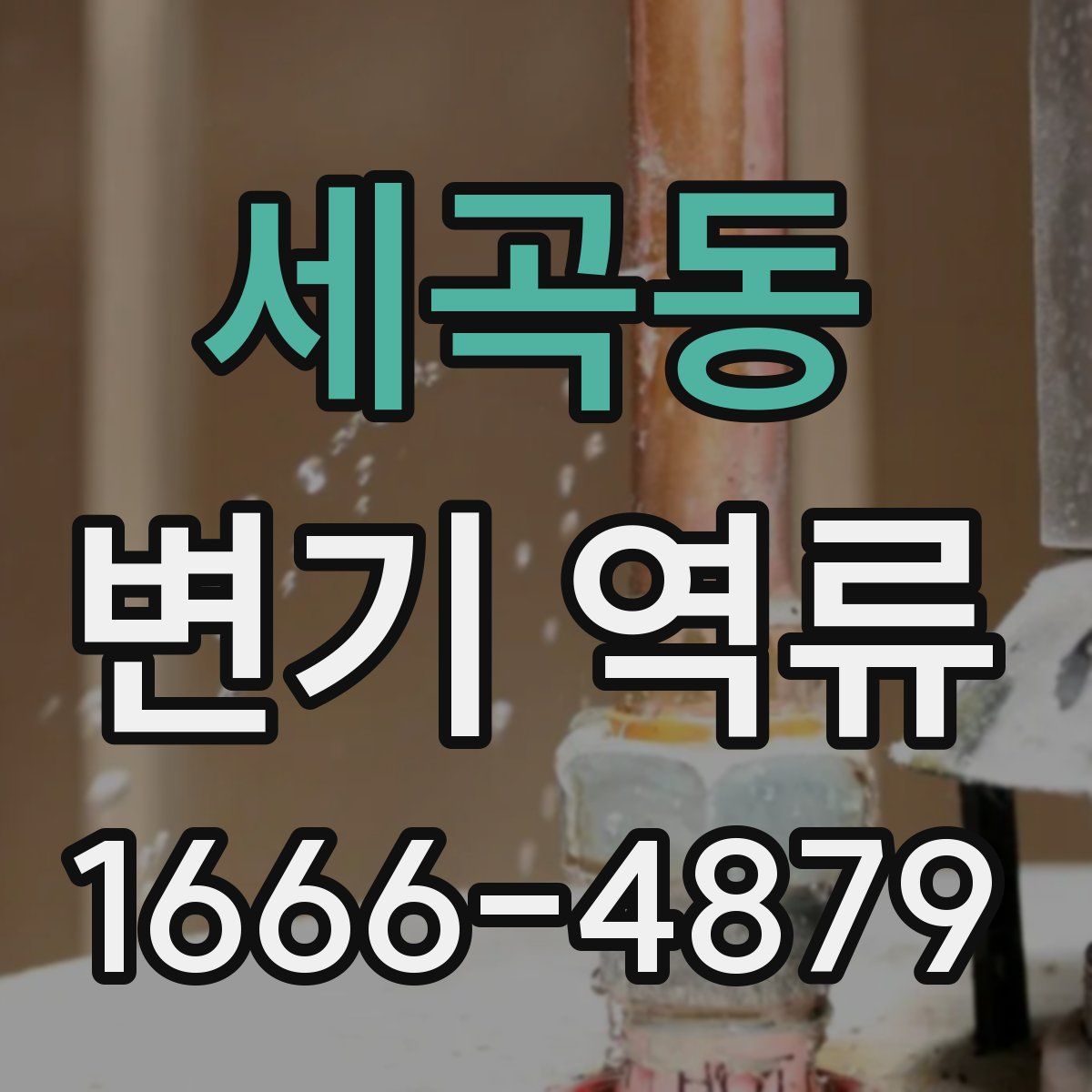 세곡동 변기 역류