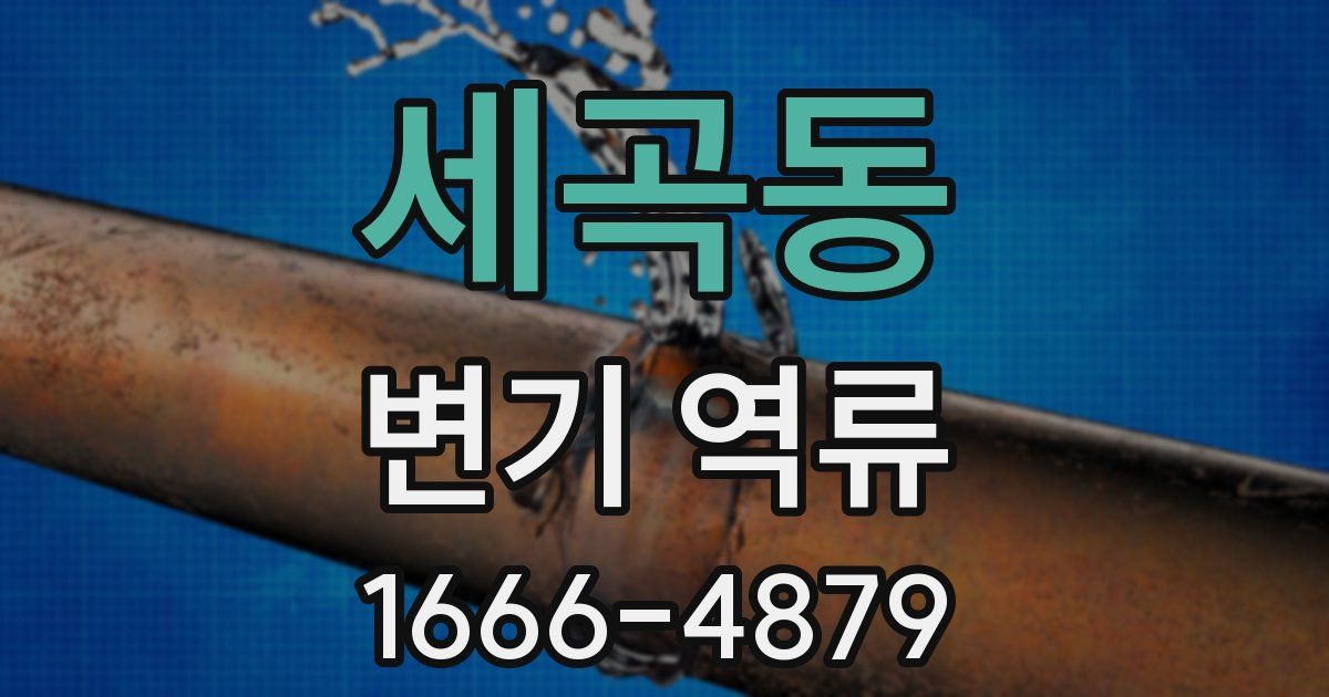 세곡동 변기 역류