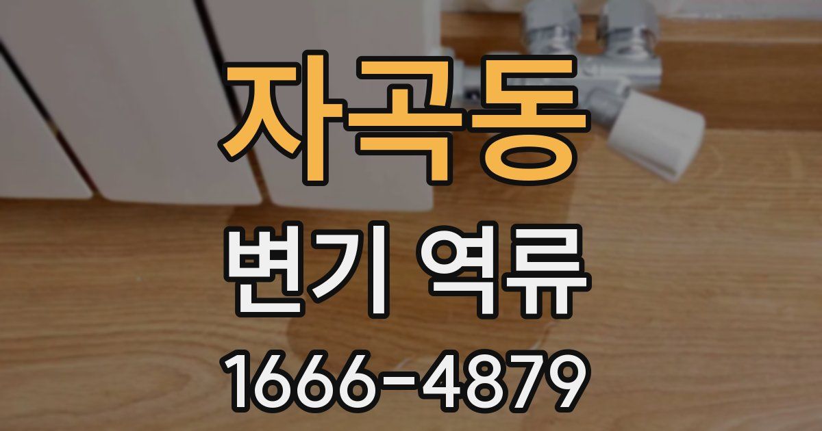 자곡동 변기 역류