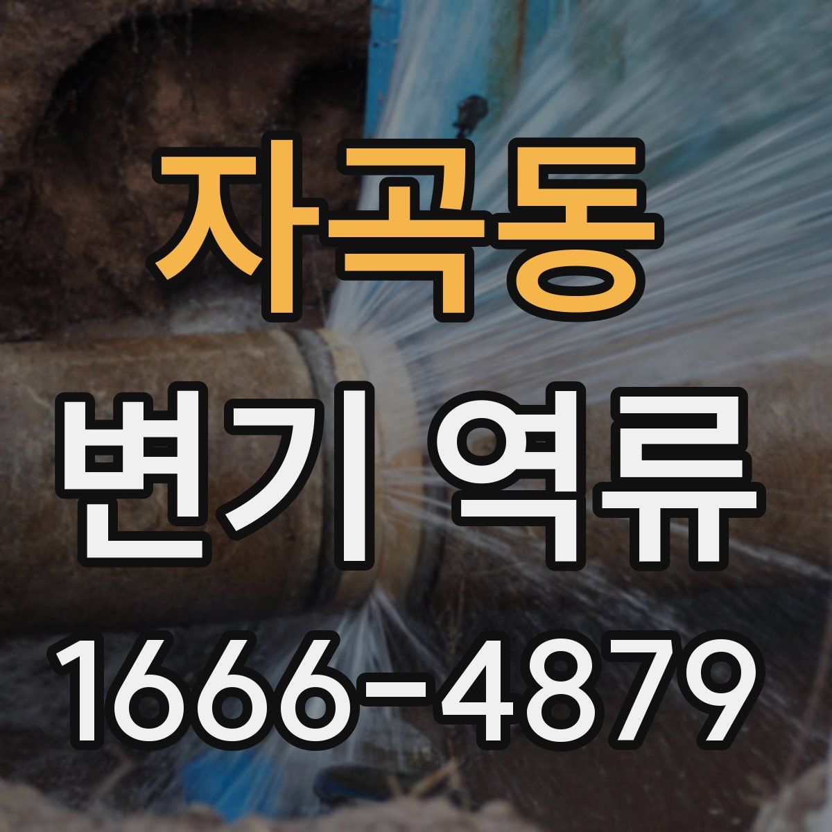 자곡동 변기 역류