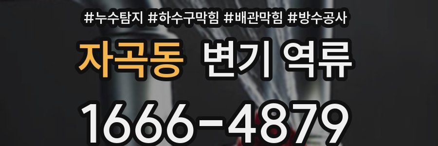 자곡동 변기 역류