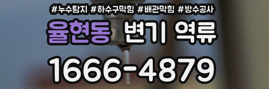 율현동 변기 역류