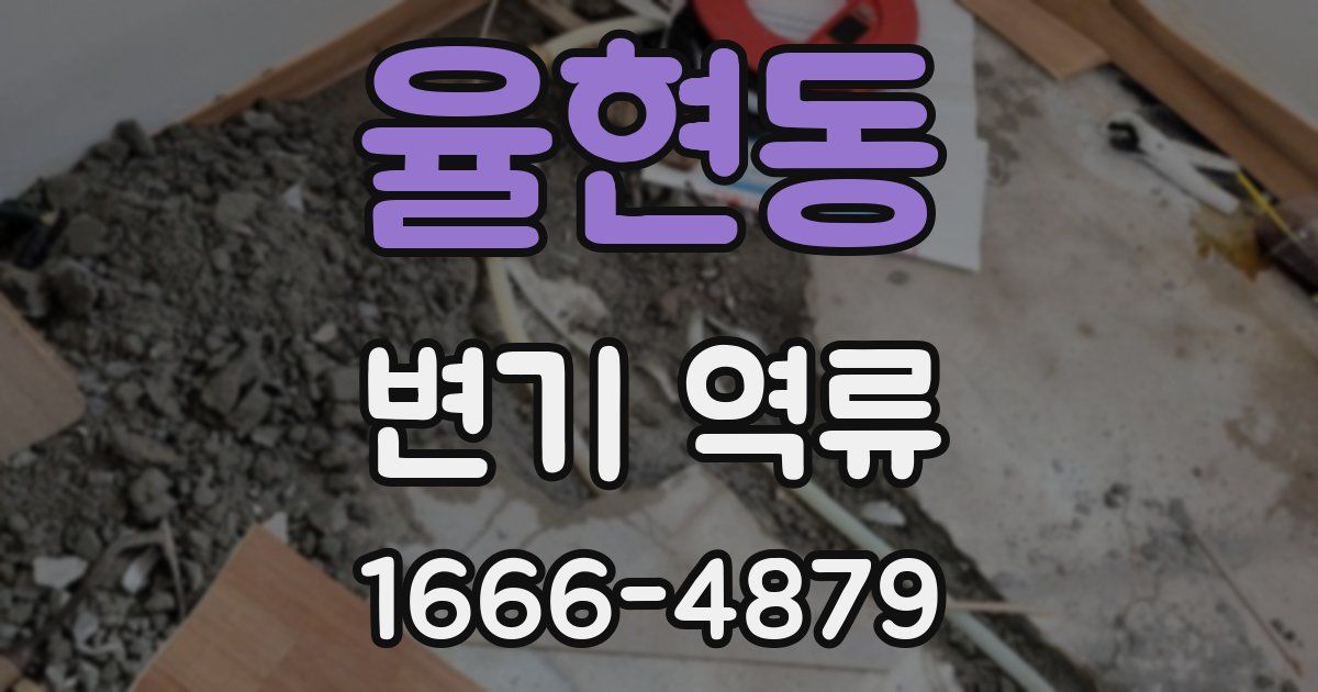 율현동 변기 역류