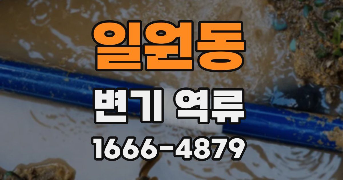 일원동 변기 역류