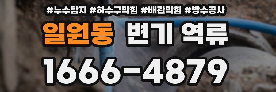 일원동 변기 역류