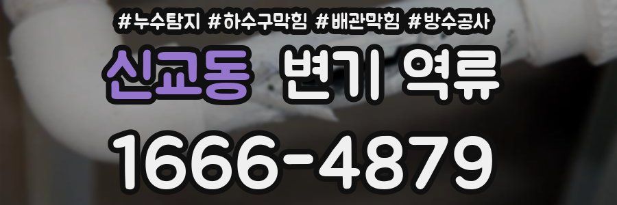 신교동 변기 역류