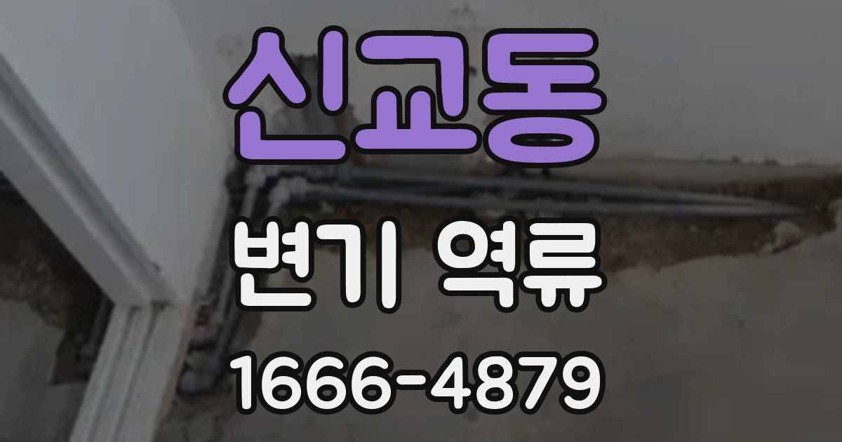 신교동 변기 역류