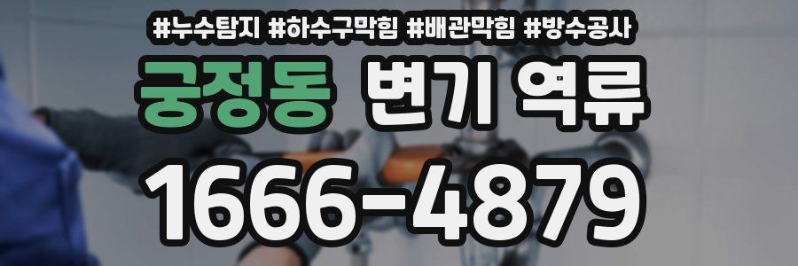 궁정동 변기 역류