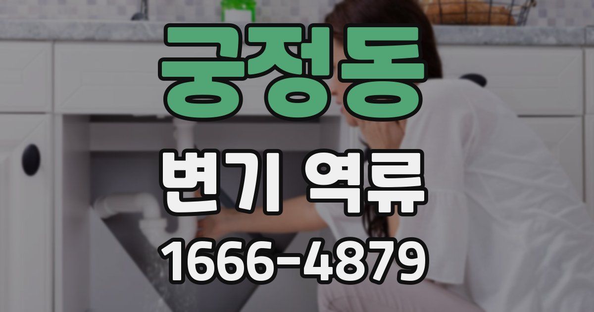 궁정동 변기 역류