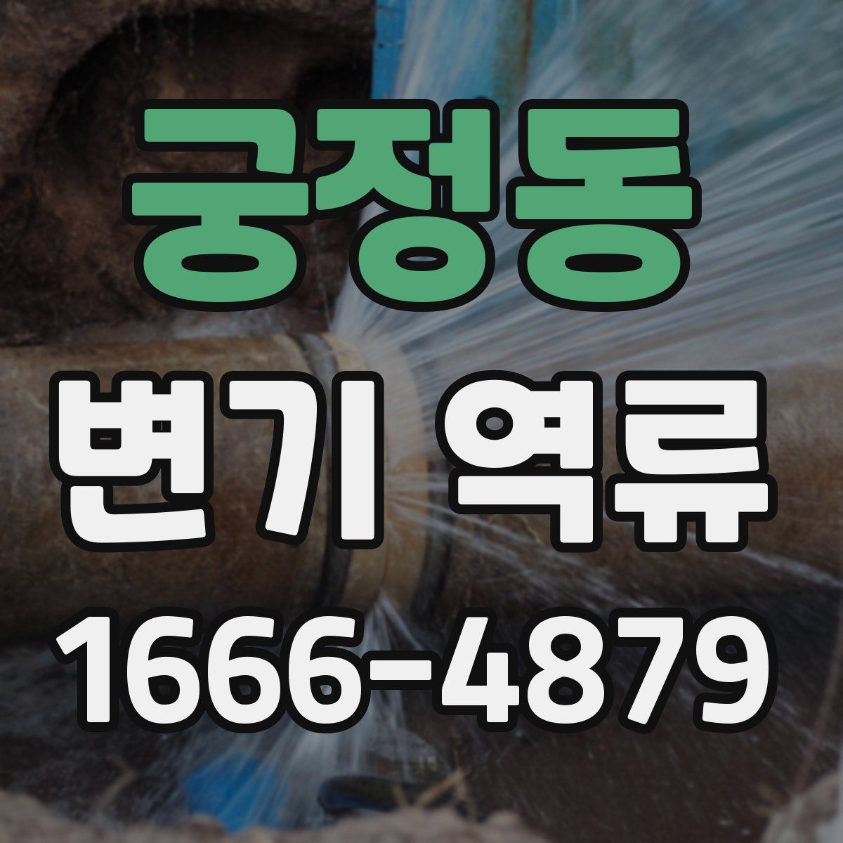 궁정동 변기 역류