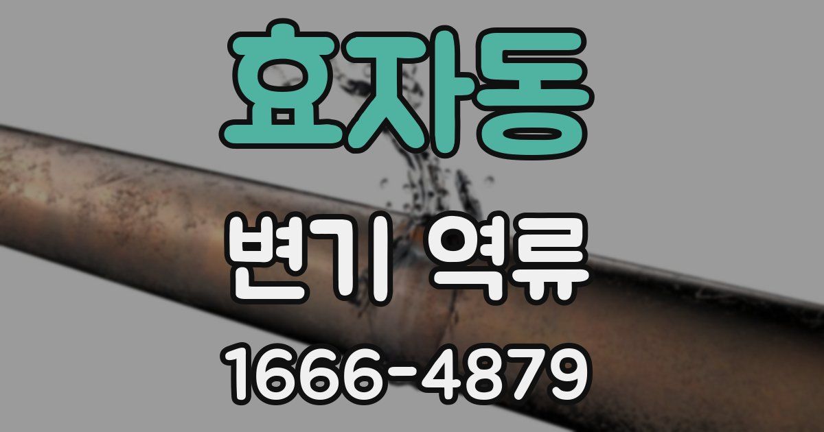 효자동 변기 역류