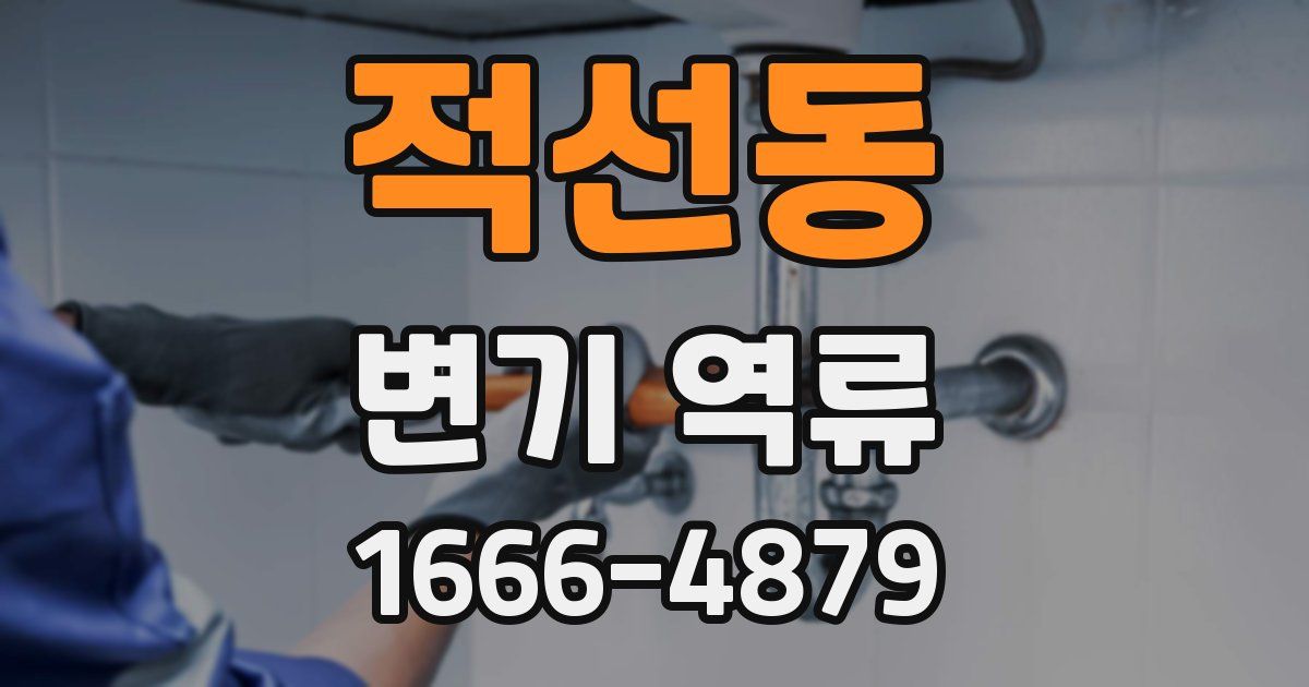 적선동 변기 역류